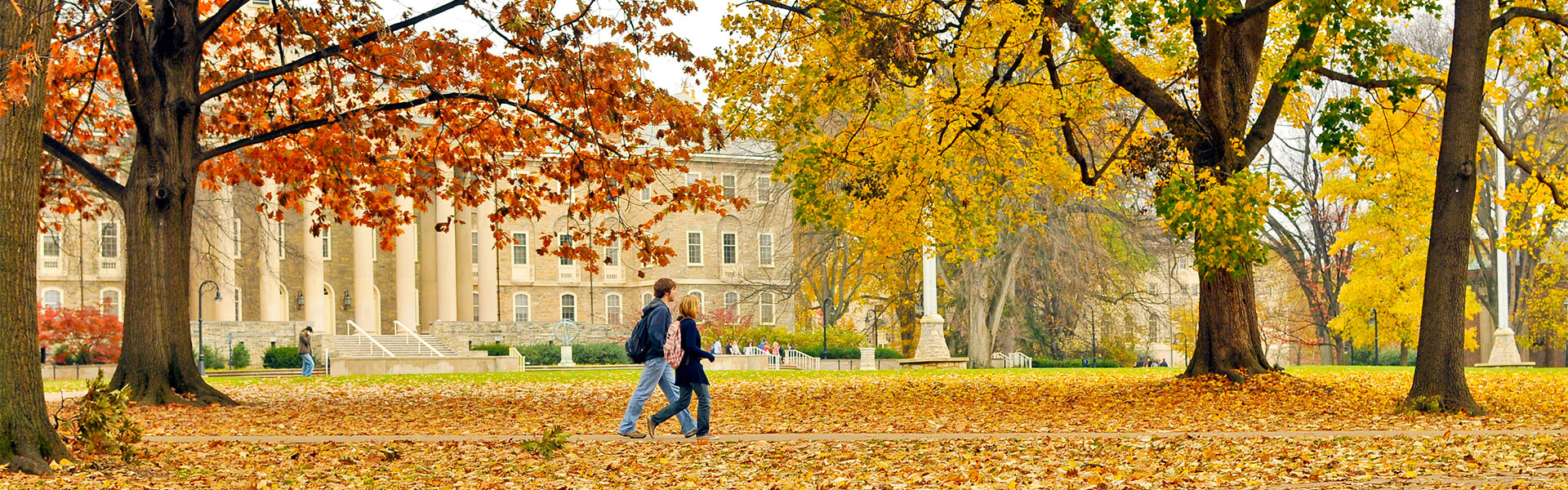 Fall on campus