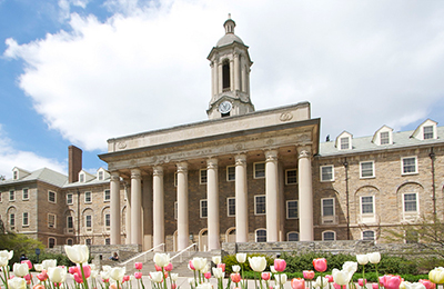 Old Main Tulips