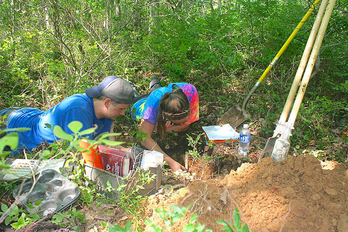 Students field work