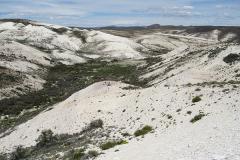 The Laguna del Hunco fossil site in Chubut, Patagonian Argentina.